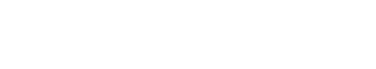 LOWARA
